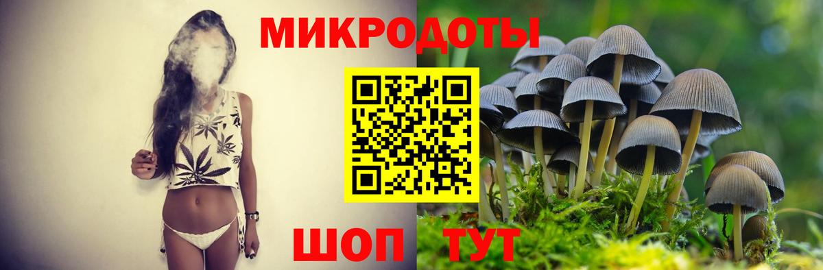 Псилоцибиновые грибы мицелий Алатырь